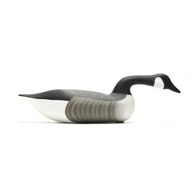 harry-v-shourds-iii-nj-hissing-goose