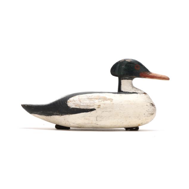 early-common-merganser