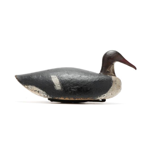 early-hen-common-merganser