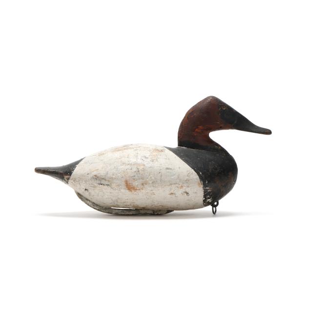 scott-jackson-md-1852-1929-canvasback