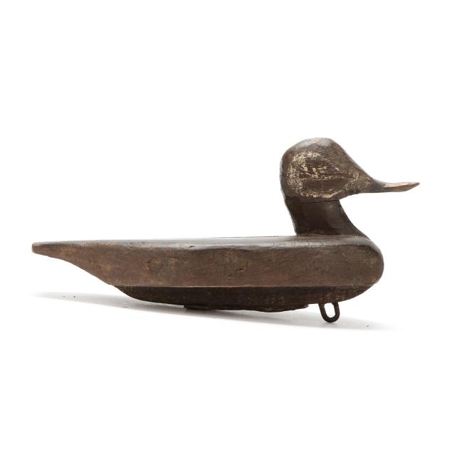 early-back-bay-ruddy-duck