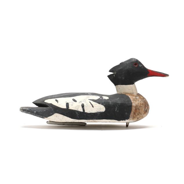 early-red-breasted-merganser