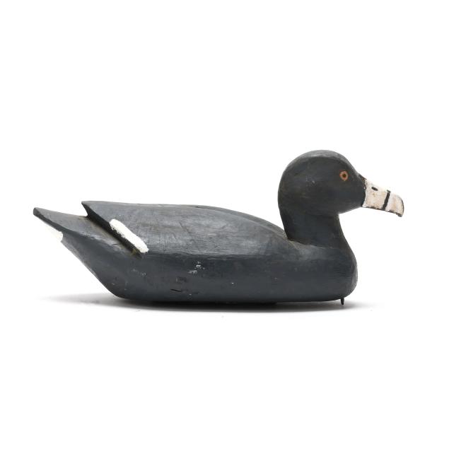 joe-verdin-la-coot