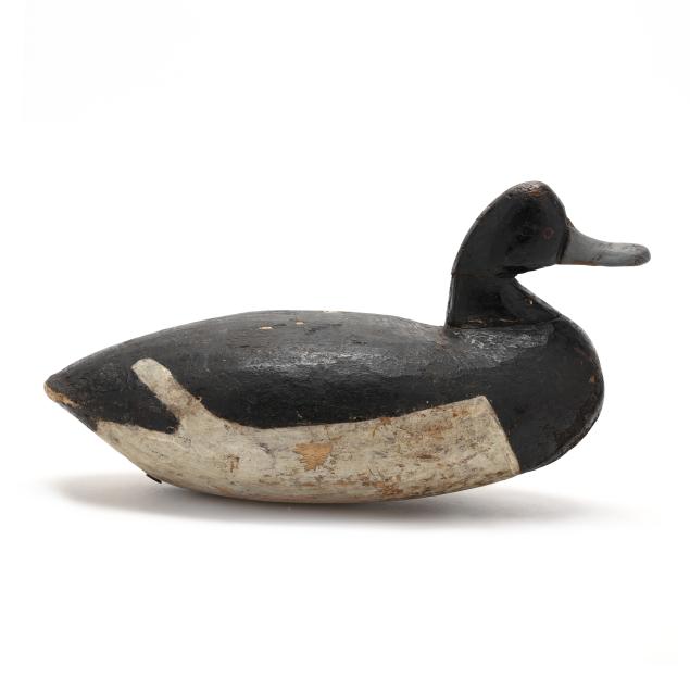will-mason-va-bluebill
