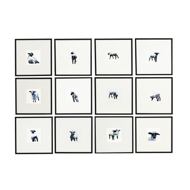 s-christian-rolel-american-set-of-twelve-sheep-photogravures
