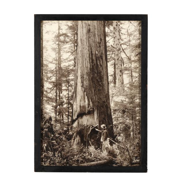 antique-photograph-of-grays-harbor-washington-jones-photo-co
