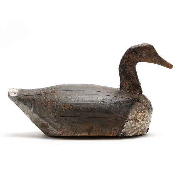 early-outer-banks-goose