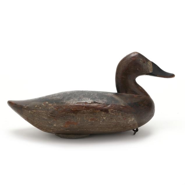 john-daddy-holly-md-1819-1892-hen-canvasback