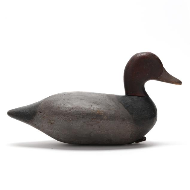 early-redhead-attributed-to-eastern-shore-virginia