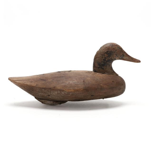 august-heinefeld-md-1883-1952-bluebill