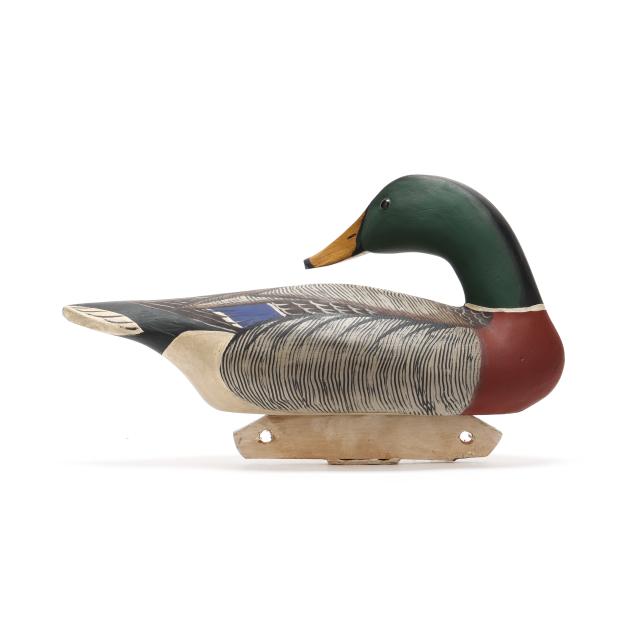 george-bell-md-preening-mallard