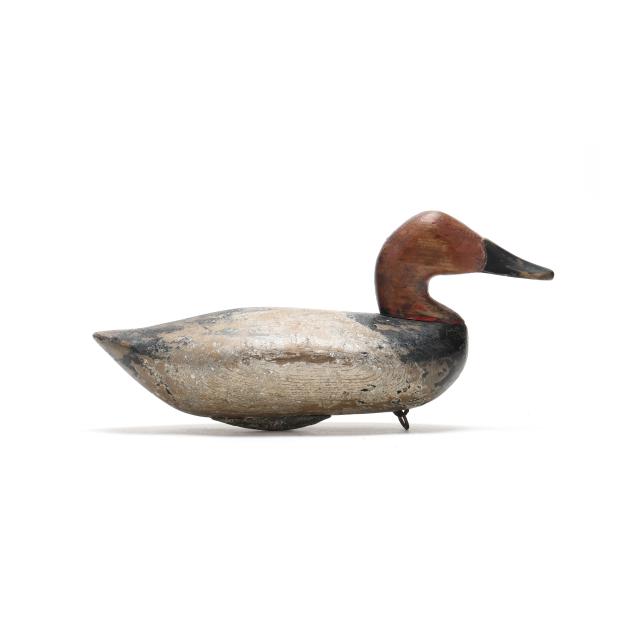 john-daddy-holly-md-1819-1892-canvasback