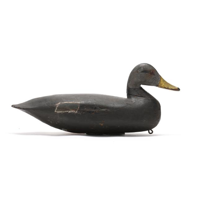 charles-birch-va-1867-1956-black-duck