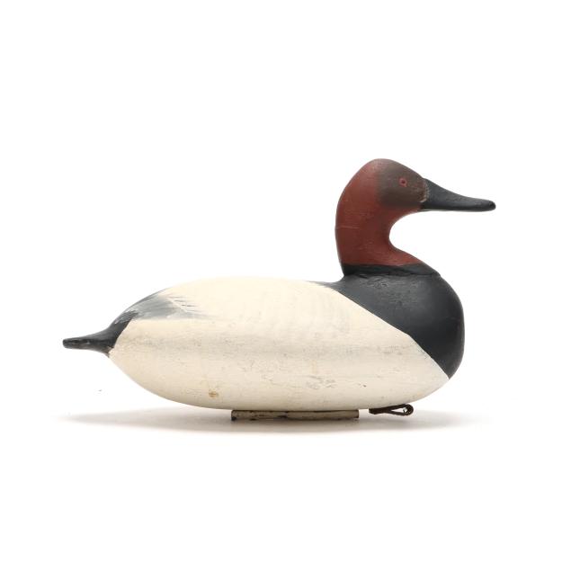 early-maryland-canvasback