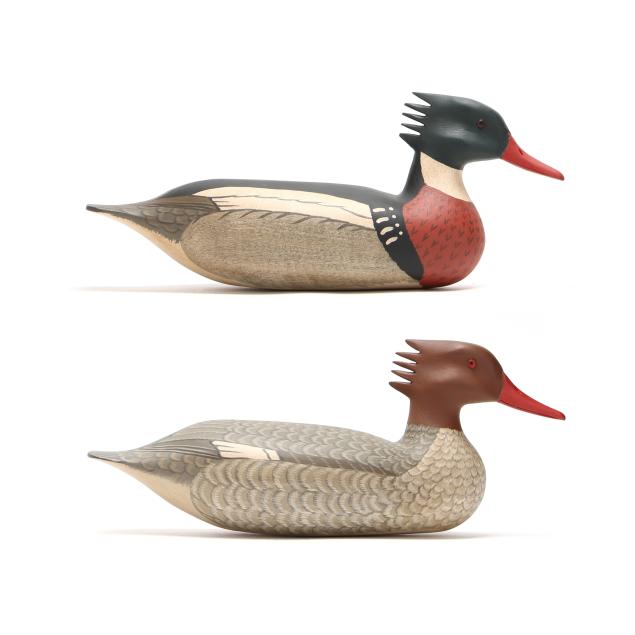 harry-v-shourds-iii-nj-pair-red-breasted-merganser