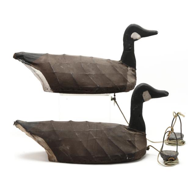 two-early-core-sound-geese