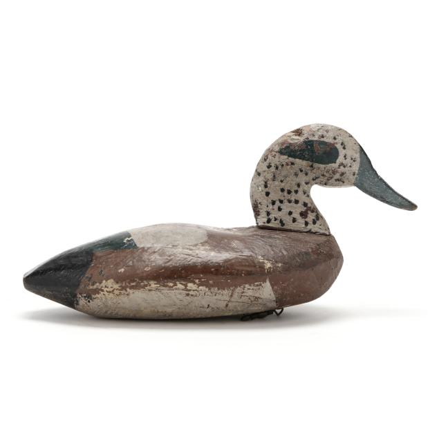 early-knotts-island-widgeon