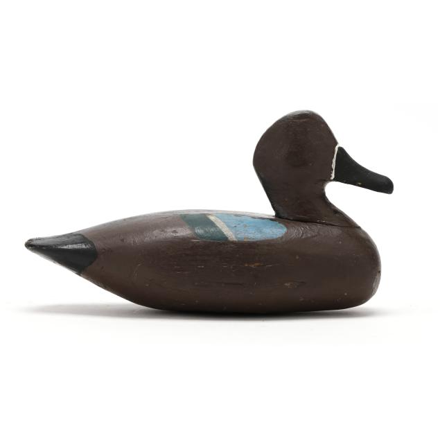 early-louisiana-blue-winged-teal
