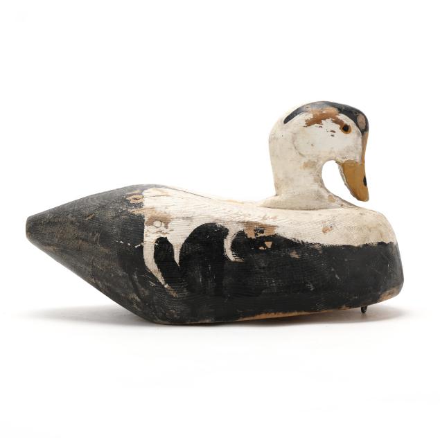 wayne-stuart-ca-king-eider