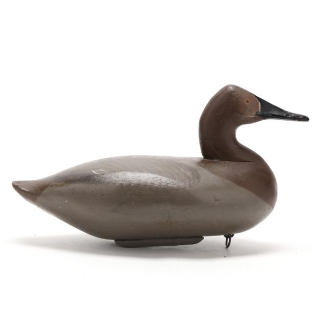 early-upper-bay-hen-canvasback