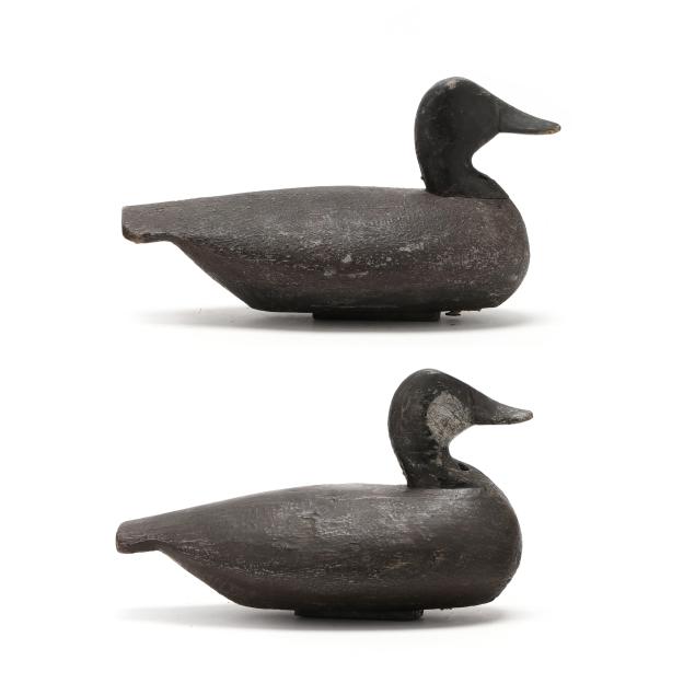 ned-burgess-nc-1868-1958-rare-and-important-published-ruddy-ducks