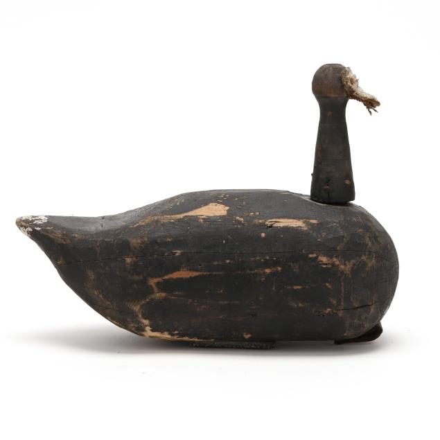 gallup-brothers-va-peg-head-coot