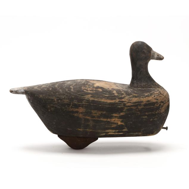 george-waterfield-nc-1885-1926-coot