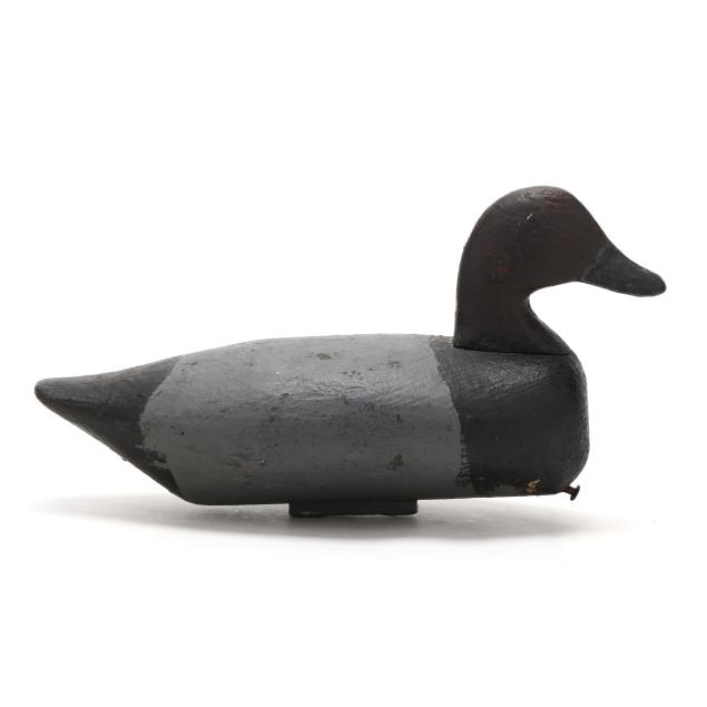 albin-aydlett-nc-1883-1954-bluebill