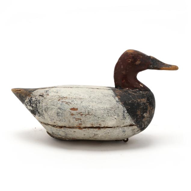 early-upper-bay-canvasback