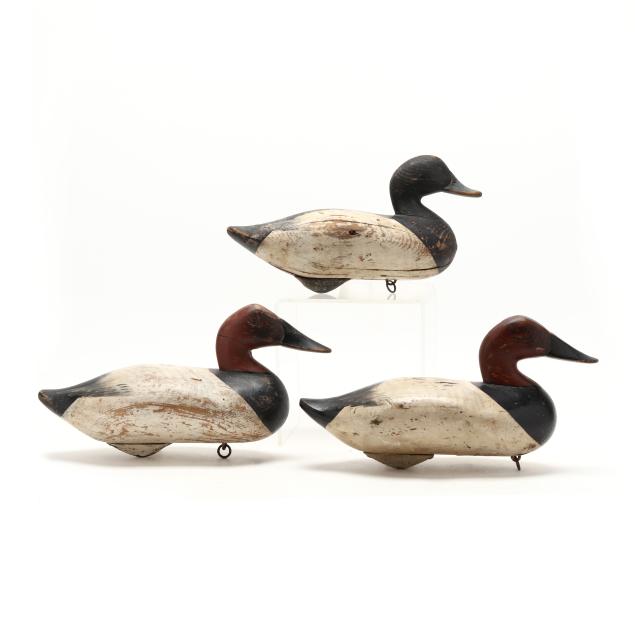 madison-mitchell-md-1901-1993-bluebill-and-two-canvasbacks