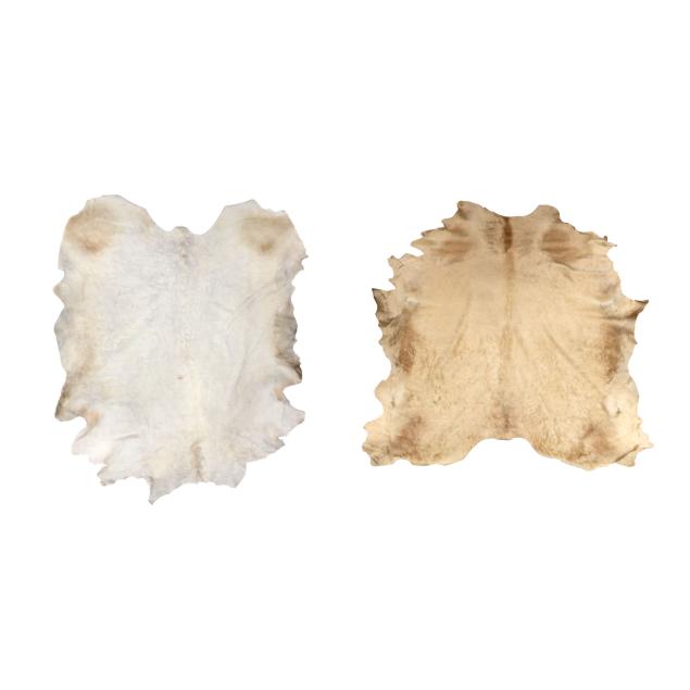two-hide-rugs