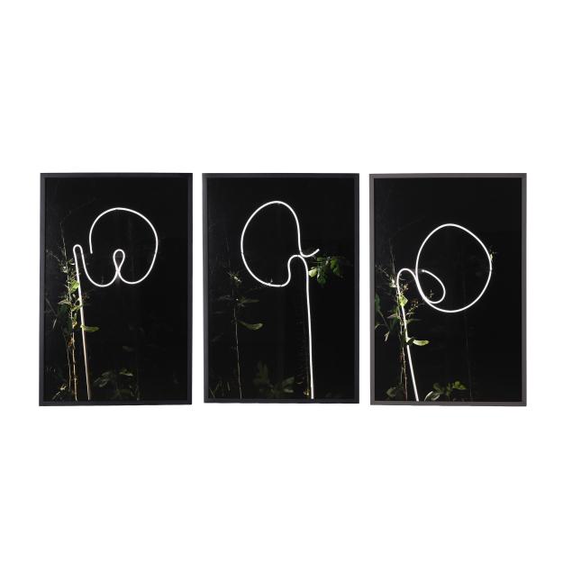 oswaldo-ruiz-mexican-b-1977-i-talking-leaves-i-three-photographs