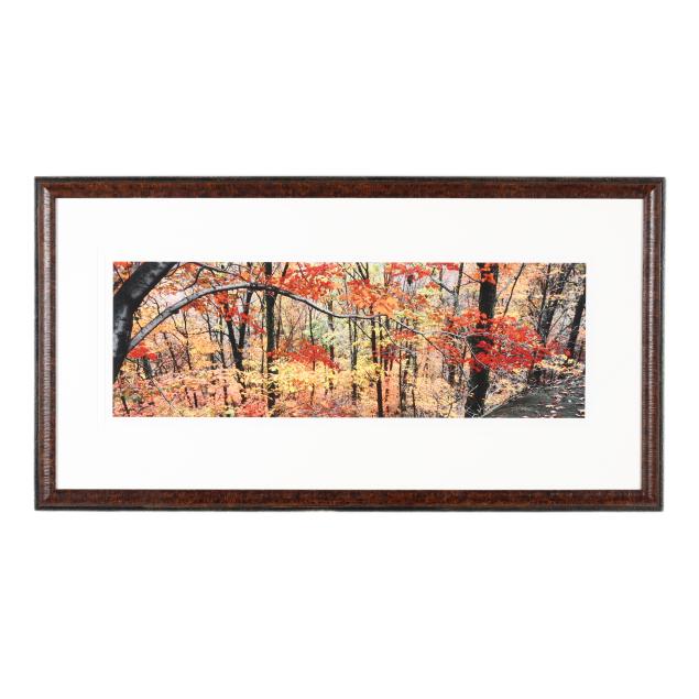 barbara-southworth-american-i-maple-branch-i